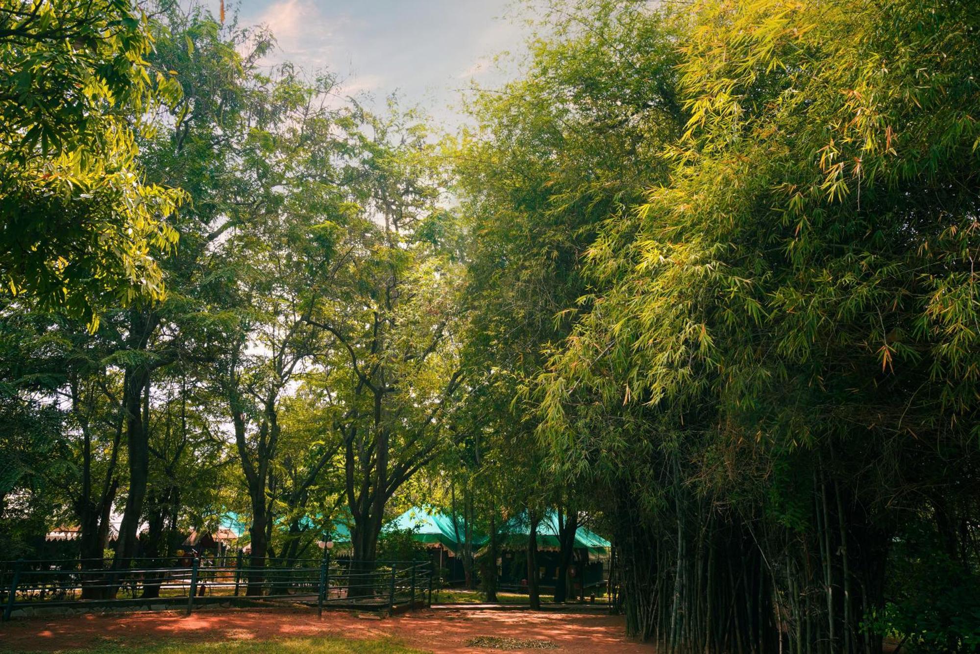 Olde Bangalore Resort And Wellness Center Devanahalli Exterior photo